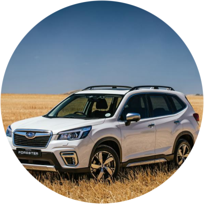 Ремонт Детейлинг Subaru Forester